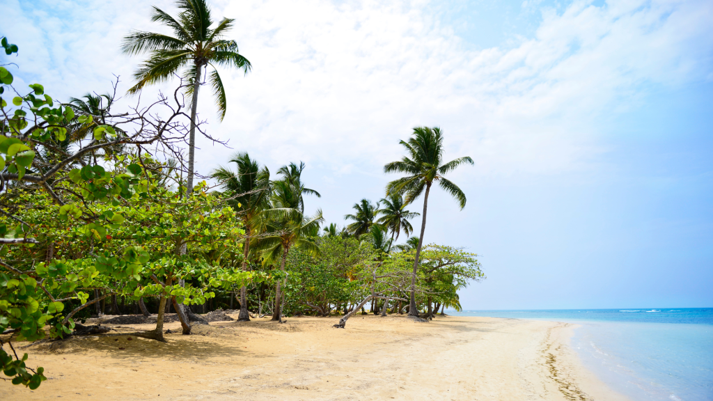 las playas del hotel Bahía Principe incluidas en nuestros alijamientos