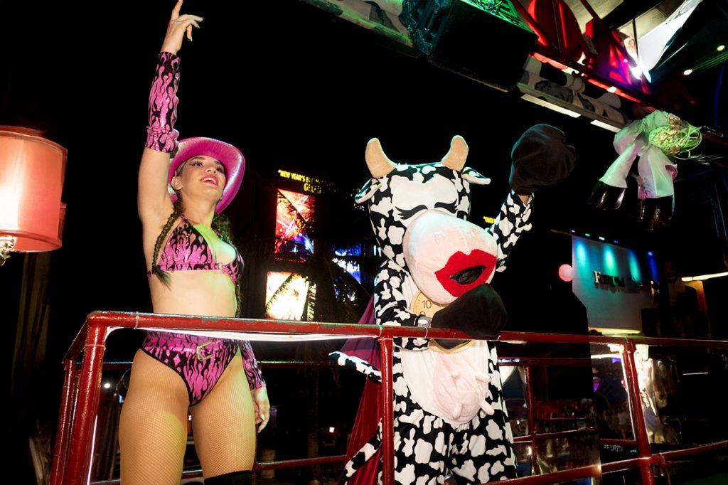 Noches en la vaquita